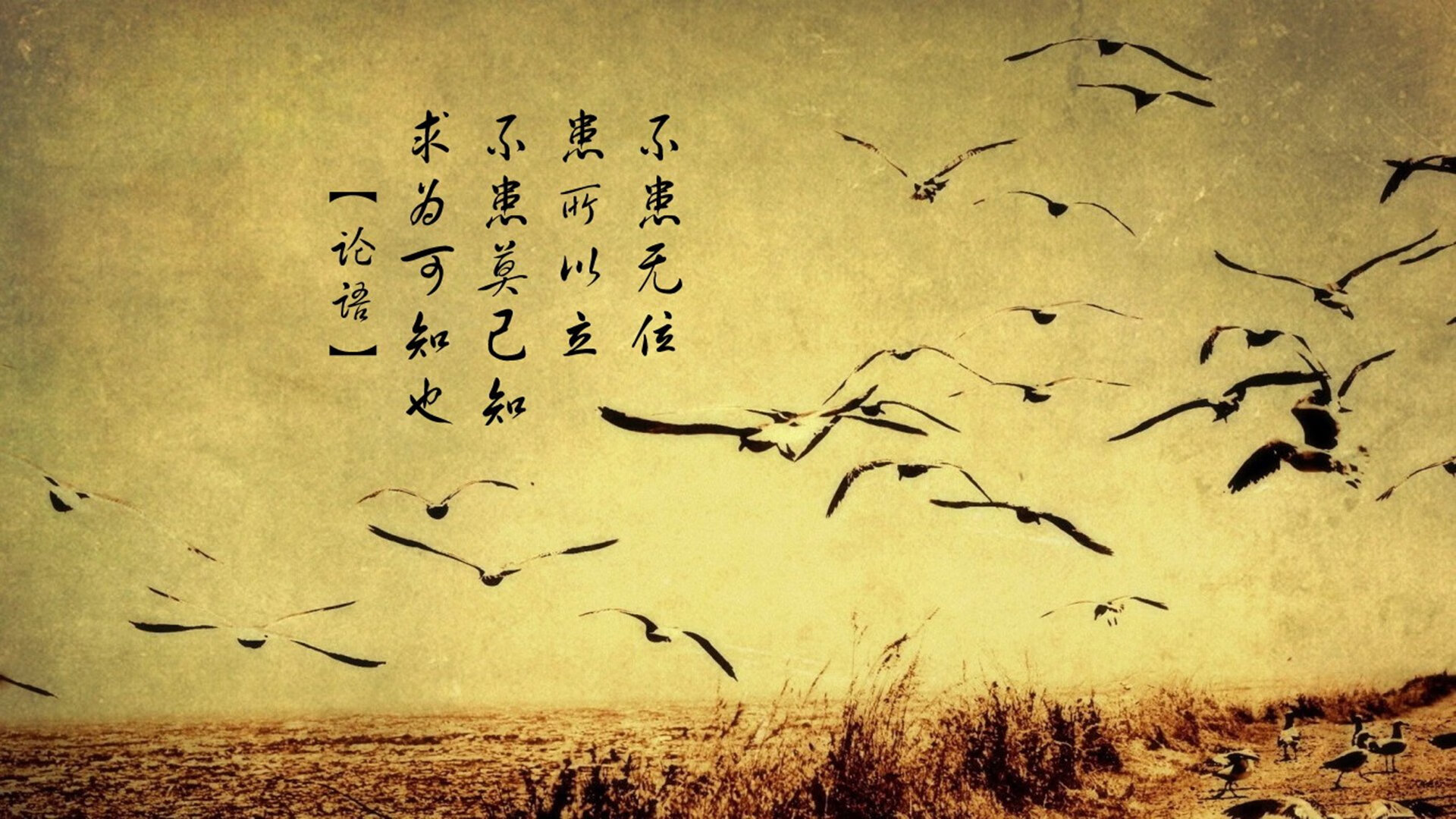 凯尔特人设置场边冥想区，提供观赛期间心理放松服务，凯尔特人的场馆