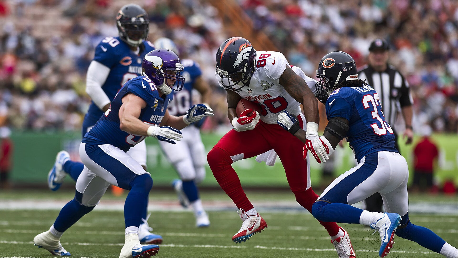 帕利斯特女子800米自由泳赛场亮点，女子800米自由泳2011