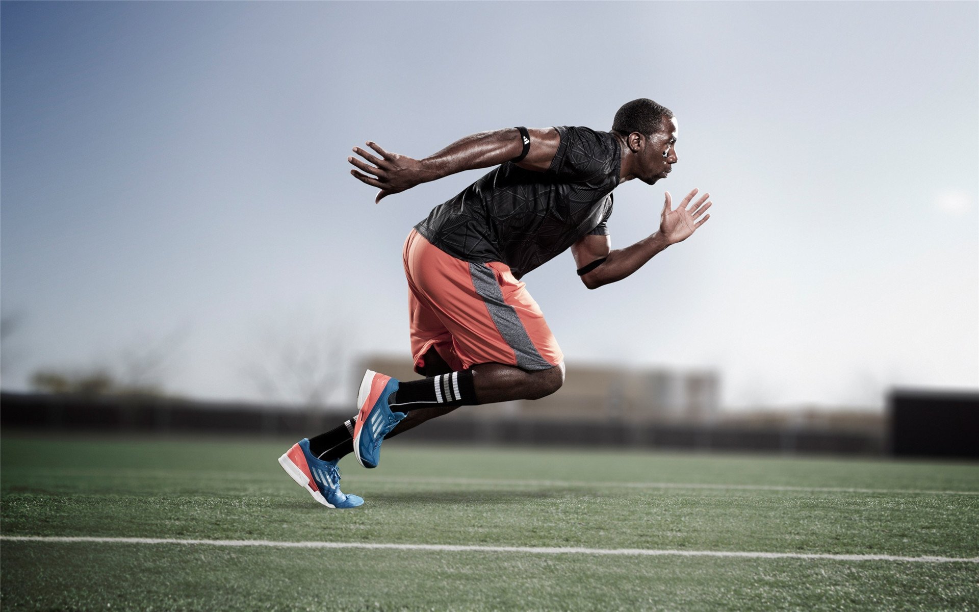 帕利斯特女子800米自由泳赛场亮点，女子800米自由泳2011