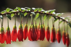 爱游戏中国官方网站平台-全国多城足球文化节不断升温，营造浓厚的全民足球氛围，足球文化节活动