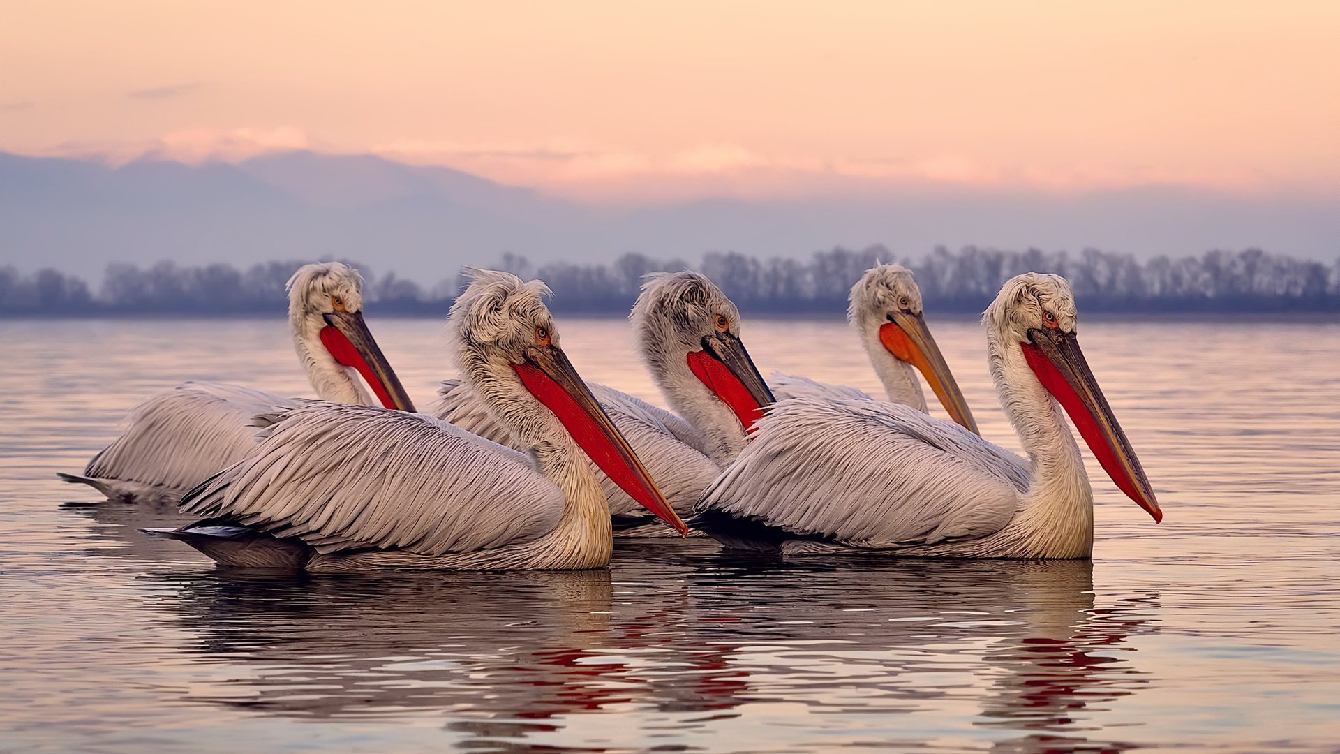 【全球化未来】科技让棒球跨越地域,成为真正的“国际运动”!
