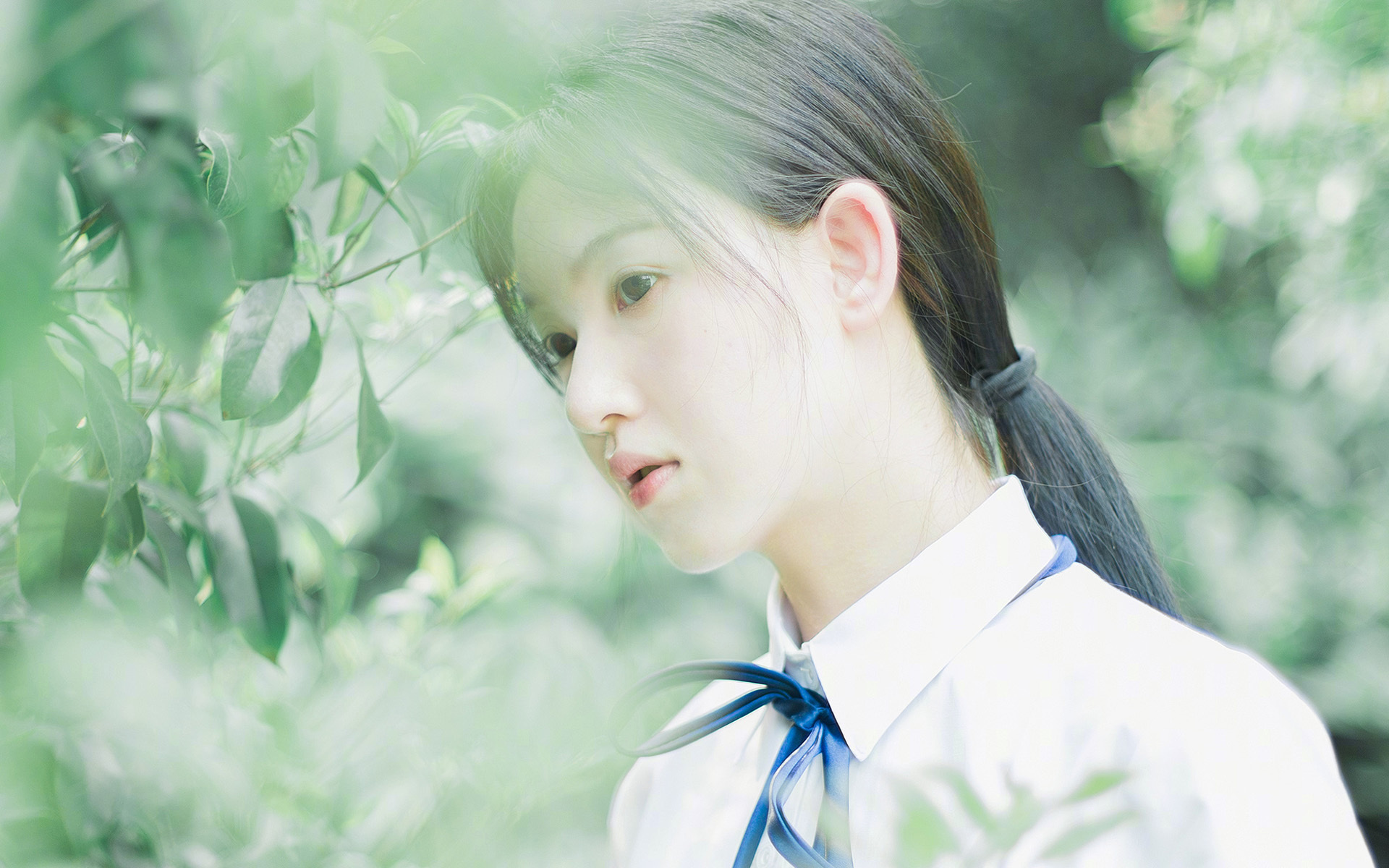 世界跳水系列赛：中国队“梦之队”表现惊艳，中国跳水梦之队奖牌